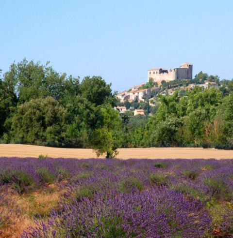 Apartmán Le Jardin Gréoux-les-Bains Exteriér fotografie